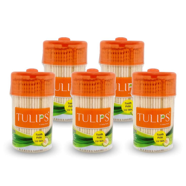 TULIPS TOOTHPICK 250 STICK PACK OF 10