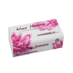 CAR TISSUE POUCH 3PLY TEIBA